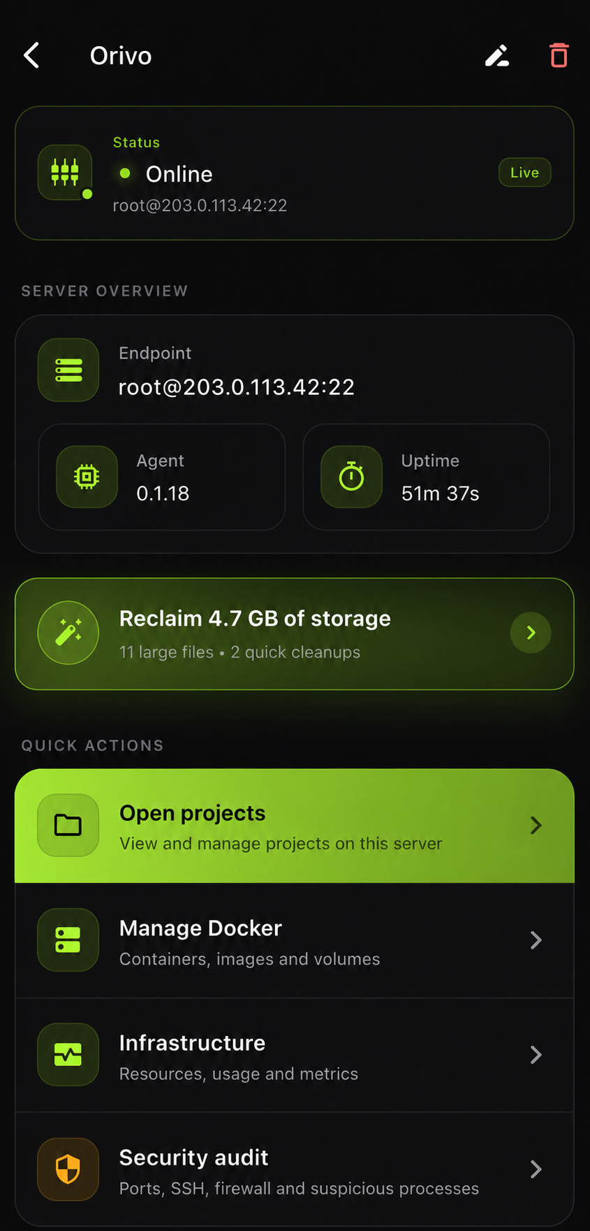 Server detail with status, agent version and quick actions